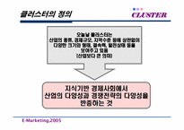 [마케팅] 국내 클러스터의 오늘과 내일-8