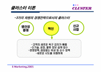[마케팅] 국내 클러스터의 오늘과 내일-11