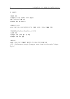 [마케팅분석] 미샤 마케팅성공사례분석-2