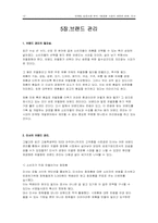 [마케팅분석] 미샤 마케팅성공사례분석-12