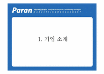 [인터넷마케팅] kt 파란닷컴 `paran` 마케팅전략분석-3