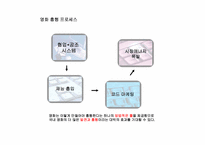 영화 `태극기휘날리며` 경영전략분석-10
