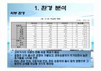 [마케팅] 르노삼성 `뉴SM5` 마케팅전략-9