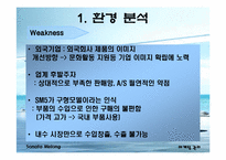 [마케팅] 르노삼성 `뉴SM5` 마케팅전략-13