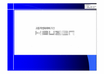 [브랜드전략] 하우젠 프미리엄마케팅전략-1