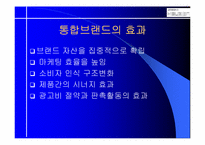 [브랜드전략] 하우젠 프미리엄마케팅전략-8