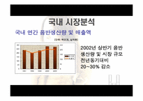 [국제마케팅] 보아의 일본시장진입전략-6