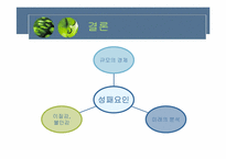 [인수합병] Merger & Acquistion-11