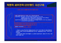[마케팅] 세계 1위를 향한(주)하나코비 락앤락의 성공전략-12
