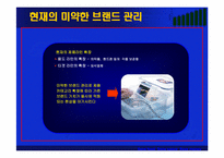 [마케팅] 세계 1위를 향한(주)하나코비 락앤락의 성공전략-17