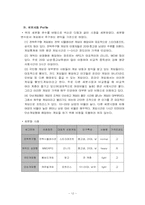 [마케팅분석] 넥슨 `카트라이더` STP전략을 통한 성공적 마케팅사례분석-13