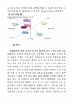 [마케팅] 교촌치킨의 마케팅전략분석-12