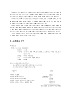 [영화산업] MK픽쳐스 영화`태극기 휘날리며` 마케팅전략-9