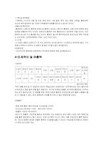 [영화산업] MK픽쳐스 영화`태극기 휘날리며` 마케팅전략-12