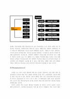 [마케팅전략] 2006 나이키코리아 성장률 회복을 위한 마케팅전략제안서-11