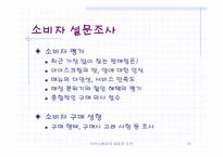[마케팅] 아이스베리 리포지셔닝전략-13