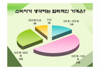 [마케팅조사론] MP3 player(mp3플레이어)에 대한 소비자구매 및 사용 현황-11