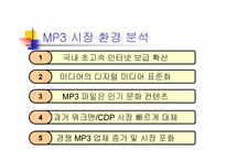 [마케팅] 30대이상을 위한 `레인콤 아이리버` 마케팅전략-3