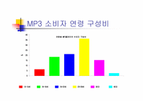[마케팅] 30대이상을 위한 `레인콤 아이리버` 마케팅전략-5