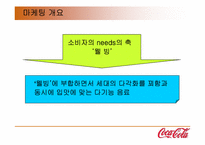 [마케팅전략] 신제품 석류음료개발(석류화) 마케팅보고서-4