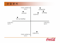 [마케팅전략] 신제품 석류음료개발(석류화) 마케팅보고서-8