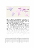 [국제경영사례] 레인콤 `아이리버` 해외진출사례-8