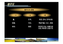[관광산업] 제주도의 관광클러스터-4
