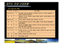 [관광산업] 제주도의 관광클러스터-8