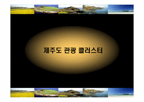 [관광산업] 제주도의 관광클러스터-10