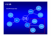 [마케팅전략] 오비맥주 OB 큐팩 IMC전략-11
