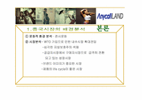 [국제마케팅] 삼성 애니콜의 중국시장성공요인과 전략-4