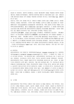 [언어의 이해 C형] 컴퓨터언어학은 무엇을 어떻게 연구하는지를 간략히 서술하시오-7