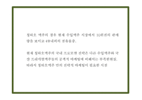 칭따오맥주 국내현황분석과 마케팅 SWOT,STP,4P전략분석및 칭따오맥주 국내인지도 올리기위한 전략제시 PPT-7