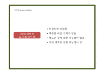 칭따오맥주 국내현황분석과 마케팅 SWOT,STP,4P전략분석및 칭따오맥주 국내인지도 올리기위한 전략제시 PPT-16