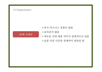 칭따오맥주 국내현황분석과 마케팅 SWOT,STP,4P전략분석및 칭따오맥주 국내인지도 올리기위한 전략제시 PPT-17