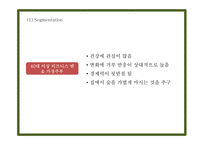 칭따오맥주 국내현황분석과 마케팅 SWOT,STP,4P전략분석및 칭따오맥주 국내인지도 올리기위한 전략제시 PPT-18