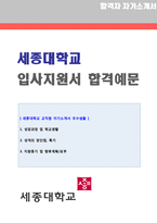 ★ 2020년 세종대학교(교직원/행정사무직) 자기소개서 우수샘플(세종대 교직원 자소서 자기소개서/대학교 사무직 교직원 자기소개서)-1