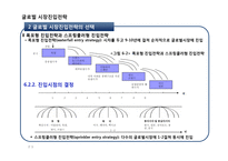 글로벌 시장진입전략-9