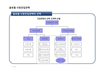 글로벌 시장진입전략-12