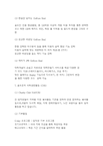 골프존 기업소개,SWOT분석,성공요인분석및 골프존 주요경영전략과 마케팅분석과 향후 마케팅전략 제시-7