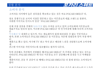 포카리스웨트 마케팅 전략-13