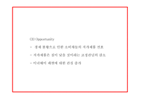 유니클로 히트텍 성공요인과 SWOT분석및 히트텍 마케팅 4P,STP분석과 향후 마케팅전략 제시 PPT-14