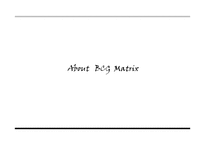 제품포트 폴리오 PPM(Product Portfolio Management) & BCG Matrix-8