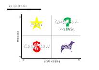 제품포트 폴리오 PPM(Product Portfolio Management) & BCG Matrix-10