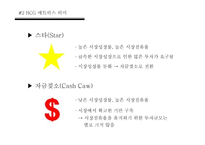 제품포트 폴리오 PPM(Product Portfolio Management) & BCG Matrix-11