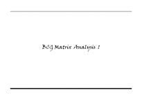 제품포트 폴리오 PPM(Product Portfolio Management) & BCG Matrix-14