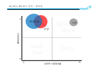 제품포트 폴리오 PPM(Product Portfolio Management) & BCG Matrix-17