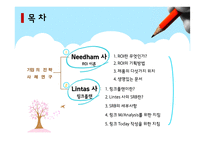 Needham사의 ROI Lintas사의 링크플랜-2