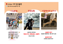 Needham사의 ROI Lintas사의 링크플랜-16