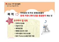 Needham사의 ROI Lintas사의 링크플랜-18